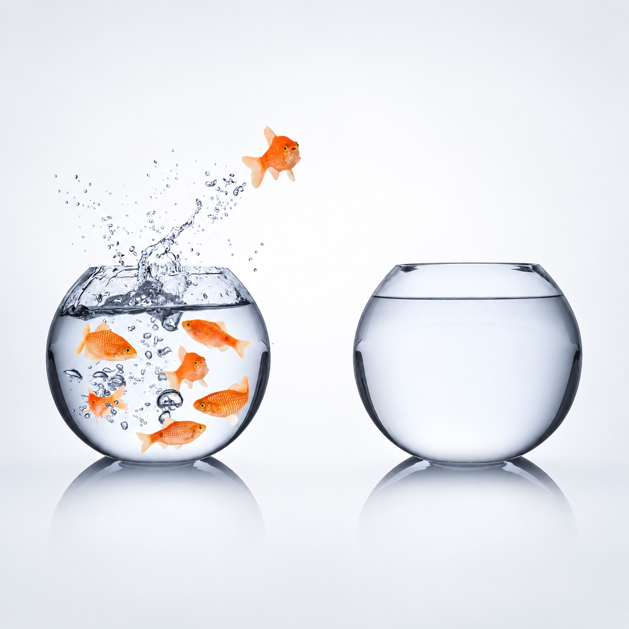 Formation Training Ausbildung Image