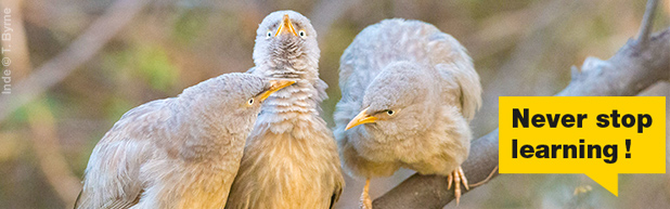 séances improductives