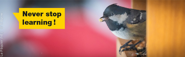 s&eacute;ances improductives