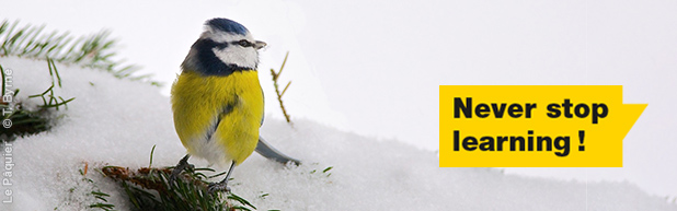 s&eacute;ances improductives